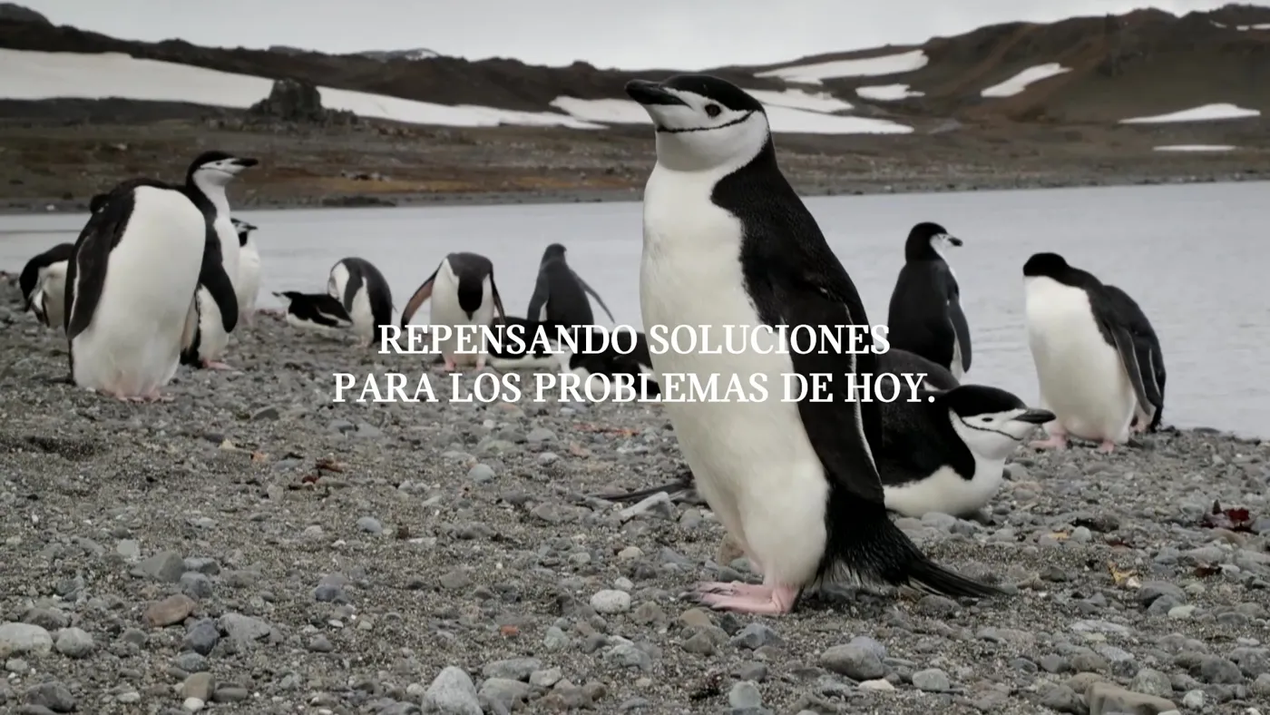 PINGÜINOS