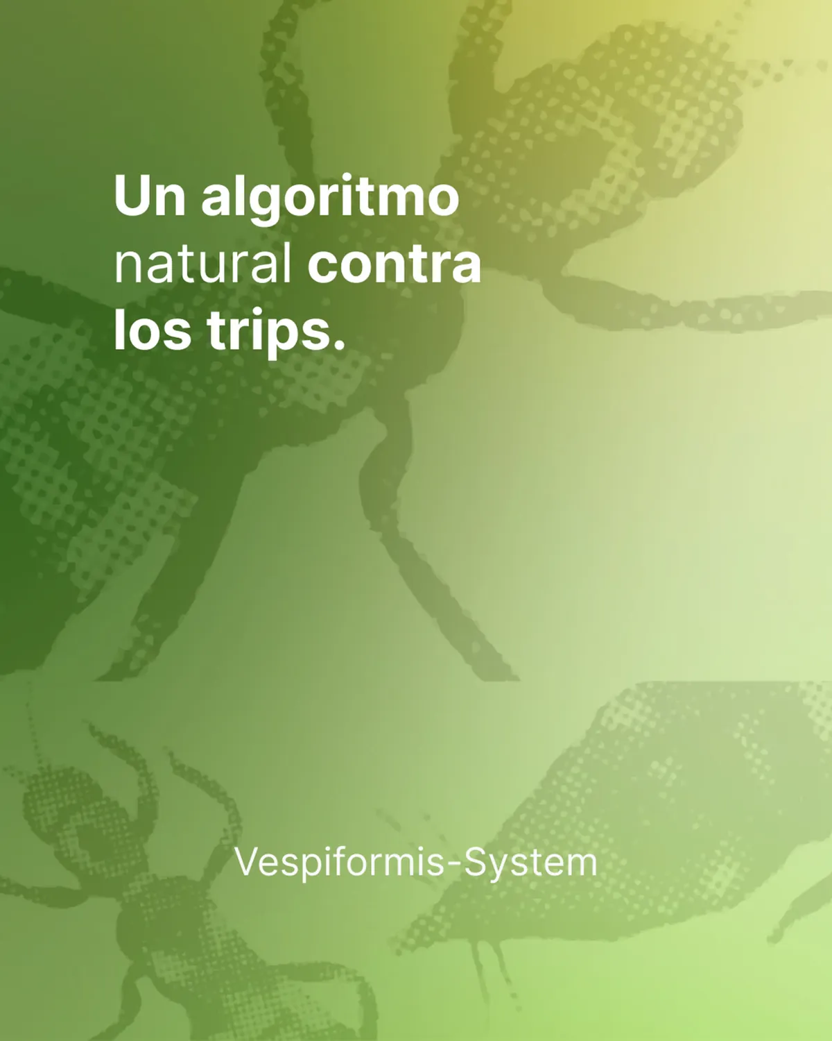 POST «UN ALGORITMO NATURAL»