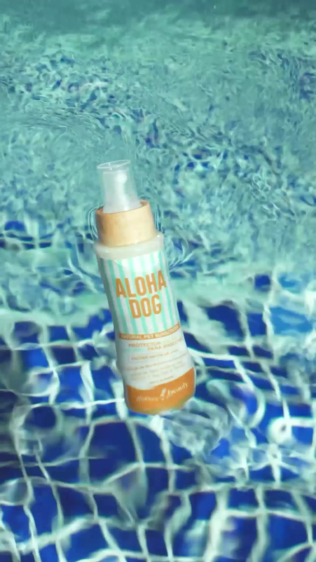 ALOHA DOG