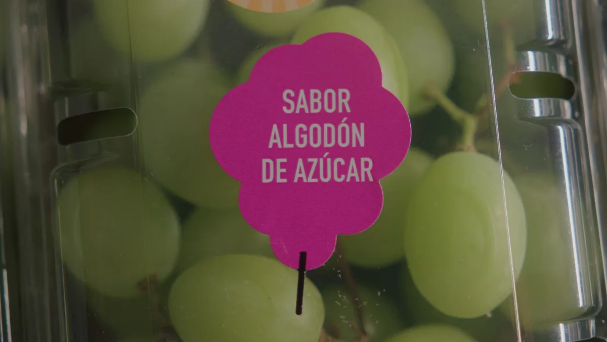 Sabor